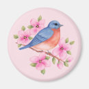 Search for spring bird magnets Blue