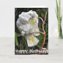 Search for cockatoo birthday cards Pet