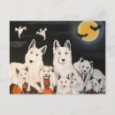 Search for white german shepherd postcards Dog