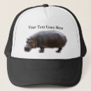 Search for zoo animals hats Hippo