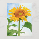 Search for communal postcards Superstock