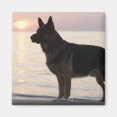 Search for georgian magnets Canada