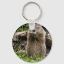 Search for wild hog key rings Groundhog