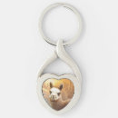 Search for cute alpaca key rings Adorable
