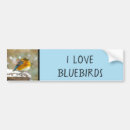 Search for photographers bumper stickers Bird