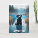 Search for labrador birthday cards Black labrador retriever