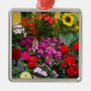 Search for thumb christmas tree decorations Flower
