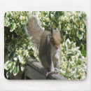Search for cute squirrel mousepads Rodent