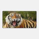Search for lion predator electronics Africa