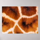 Search for giraffe patterns posters Animals