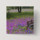 Search for bonnet badges Wildflower