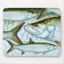 Search for atlantic mousepads Animal