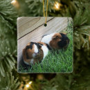 Search for pig christmas tree decorations Guinea