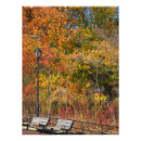 Search for park bench Fall