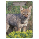 Search for environment clipboards Public land