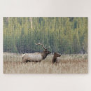 Search for danita delimont puzzles Wyoming