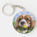 Search for cute cavalier key rings Pet