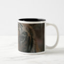 Search for tiger cub mugs Cute