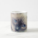 Search for ragdoll cats mugs Blue