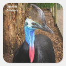 Search for avian stickers Australia