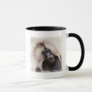 Search for baboons mugs Wildlife