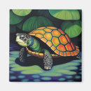 Search for sea turtle magnets Hawaii