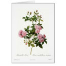 Search for brambles Floral