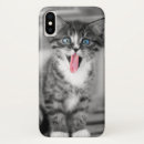 Search for cute baby kitten iphone cases Blue eyes
