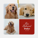 Search for dog pet memorial ornaments Condolence
