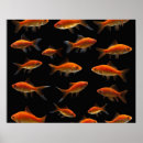 Search for two fish art Black