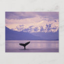 Search for inside passage postcards Alaska