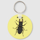 Search for stags key rings Stag beetle