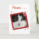 Search for kitten valentines day cards Animals