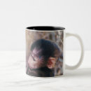 Search for baboon drinkware Outdoors