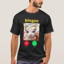 Search for sphinx cat Hairless