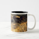Search for capitol reef mugs Park