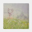 Search for deer buck magnets Landscape