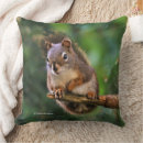 Search for red squirrel cushions Nature