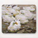Search for farmyard mousepads Animal