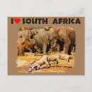 Search for warthog postcards Animal