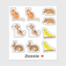 Search for bunny cat stickers Rabbit