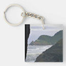 Search for sea lion key rings Nature
