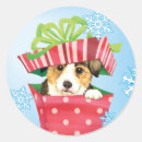 Search for corgi stickers Puppy