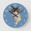 Search for ragdoll posters Blue
