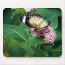 Search for little wing mousepads Wings