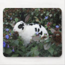 Search for rex mousepads Rabbit