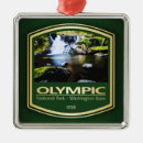 Search for olympic national park christmas tree decorations Hoh rain forest