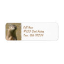 Search for otter return address labels Animal