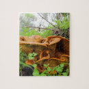 Search for mushroom puzzles Plant