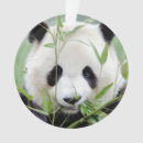 Search for panda christmas tree decorations Modern